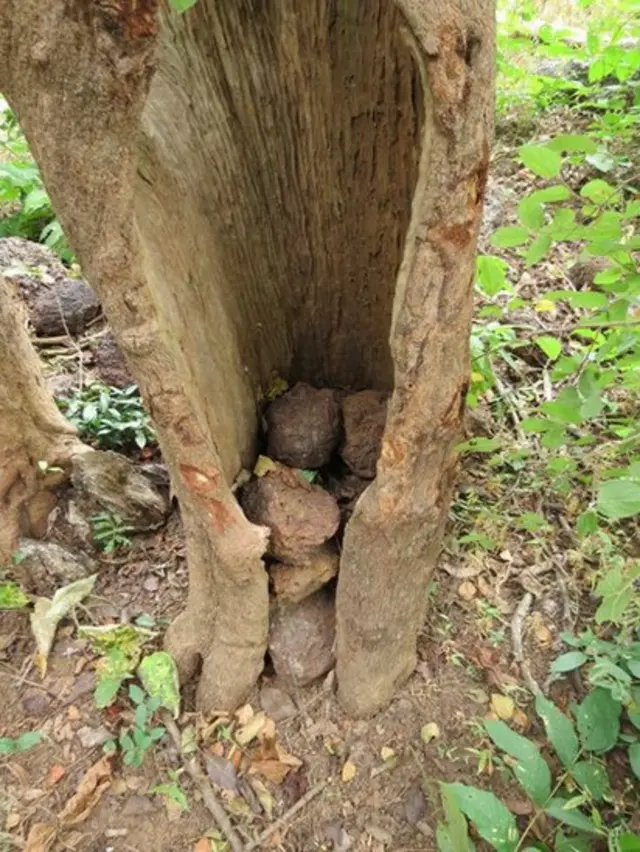 Stones piled under trees in Boe, Guinea Bissau