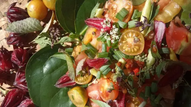 kuliner, NTT, dicky senda, lakoat.kujawas, sambal luat