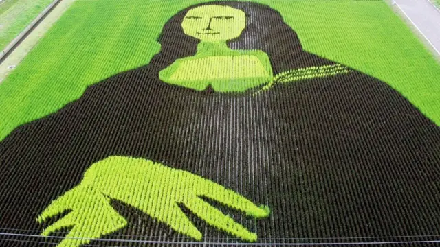 Рисова Джоконда