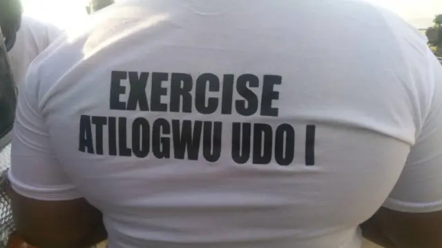Atilogwu udo n'Owere