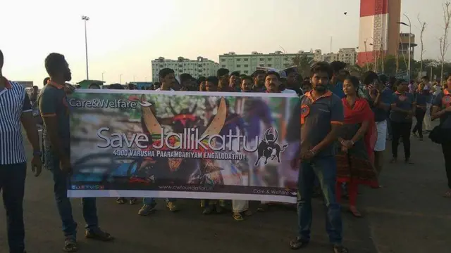 ஜல்லிக்கட்டு தடையை நீக்க கோரி கை கோர்த்த இளைஞர்கள்