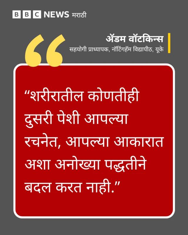 ग्राफिक्स कार्ड : शरीरातील कोणतीही दुसरी पेशी आपल्या रचनेत, आपल्या आकारात अशा अनोख्या पद्धतीने बदल करत नाही – अॅडम वॉटकिन्स