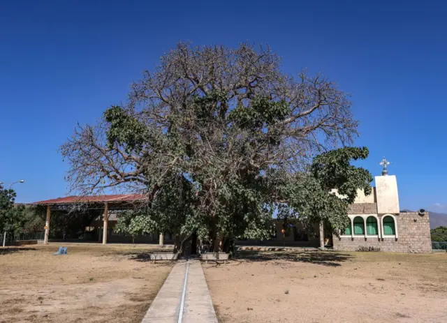 ማርያም ደዓሪት