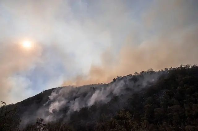 Kebakaran hutan di Australia