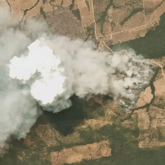 ไฟป่าแอมะซอน