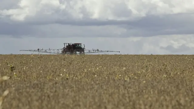 Aplicaçãobetano fantanpesticidabetano fantanplantaçãobetano fantansoja no Mato Grosso do Sul