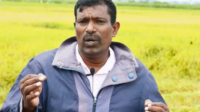 மொஹமட் ஸ்மயில் ஷியாத்