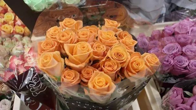 Roses