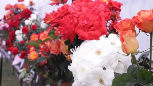 ਚੰਡੀਗੜ੍ਹ ਰੋਜ਼ ਫੈਸਟੀਵਲ