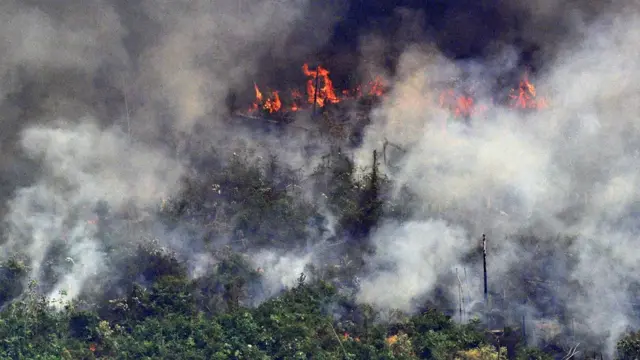 Vista aérea de fuego y humo en la Amazonía.