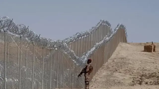 باڑ کی تنصیب