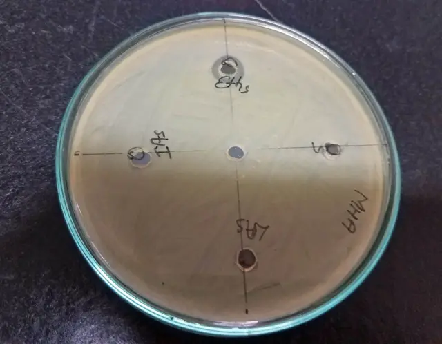 एउटा अध्ययनमा अहिले बजारमा उपलब्ध ४५ प्रतिशत स्यानिटाइजरले स्ट्याफाइलोकोकस अरिअस र इ. कोलाई नामक ब्याक्टेरिया मार्न नसकेको पाइयो