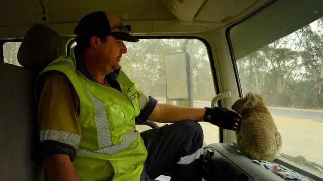 آتش‌سوزی در استرالیا