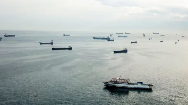 কৃষ্ণ সাগরে অপেক্ষমান জাহাজ।