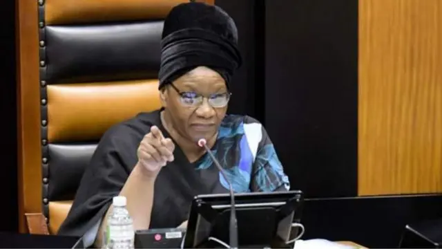 Speaker Thandi Modise