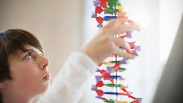Un niño con un modelo de ADN