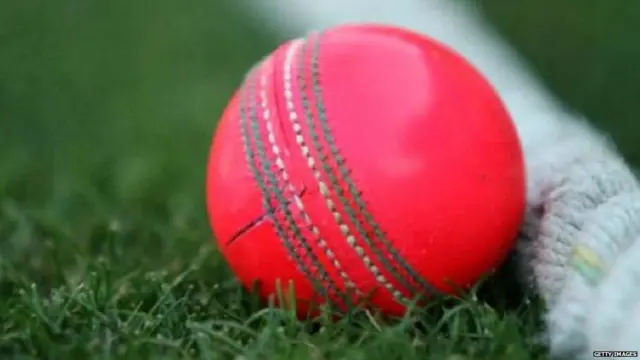 ක්‍රිකට්