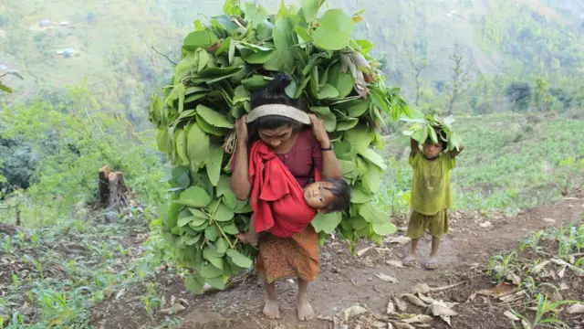 चेपाङ महिला