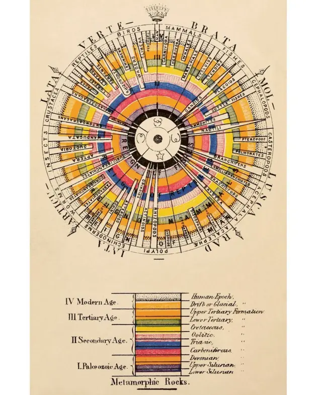 La corteza de la Tierra relacionada con la zoología