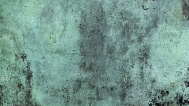 Хотите придать своей окаменелости оттенок старых статуй? Положите рядом кусочки меди