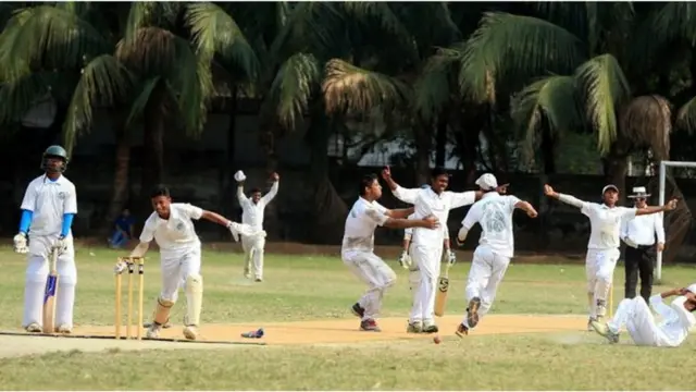 ক্রিকেট