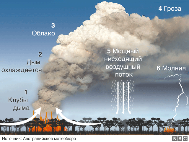 Основные погодно-климатические особенности, наблюдавшиеся на Северном полушарии Земли в г.