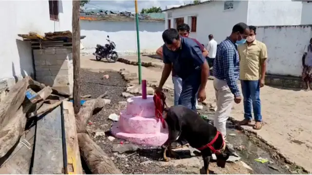 టీఆర్ఎస్ పార్టీ జెండా దిమ్మె వద్ద పోలీసు జాగిలం