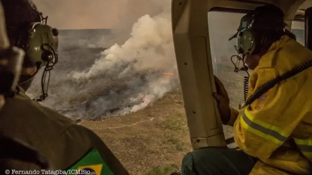 Homens observam área devastada por incêndio