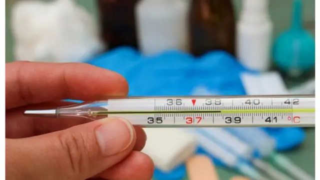 Ең жақсы БДСМ порно