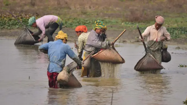 आदिवासी महिलाएं