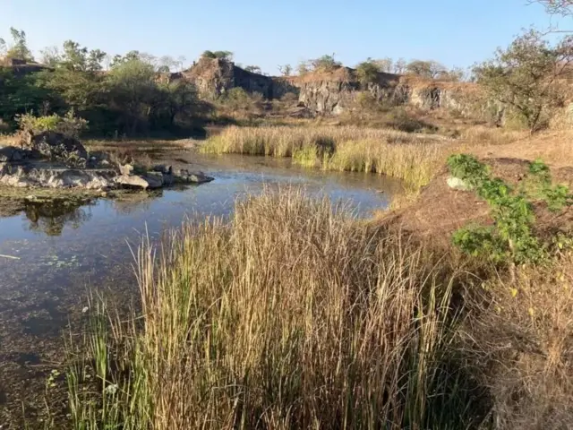 மீத்தேன், பாக்டீரியா, காலநிலை மாற்றம்