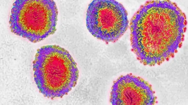 করোনাভাইরাস