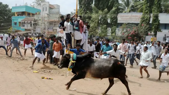 பழம்பெரும் தமிழ் இலக்கியங்களில் ஜல்லிக்கட்டு விளையாட்டு “ஏறு தழுவுதல்” என்று குறிப்பிடப்படுகிறது.