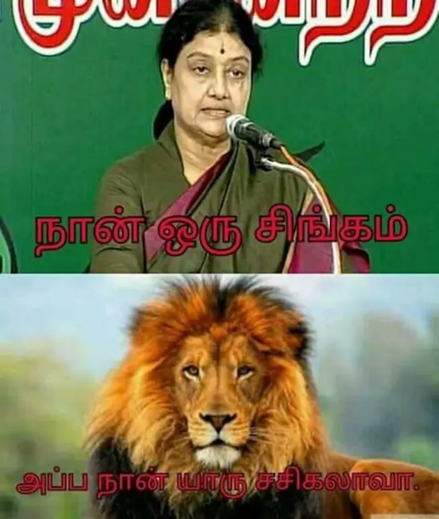 சமூக ஊடகங்களில் வலம் வரும் மீம்கள்