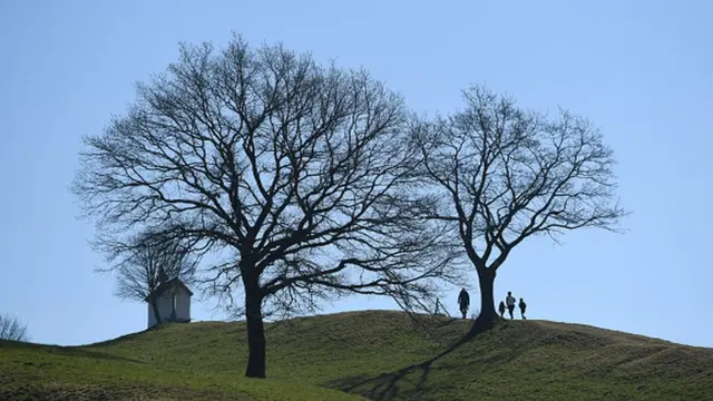 Siidaan kun Kibba dhiha magaalaa Muunik, naannawa Bavaariyaa, tulluu Grünten irratti argama