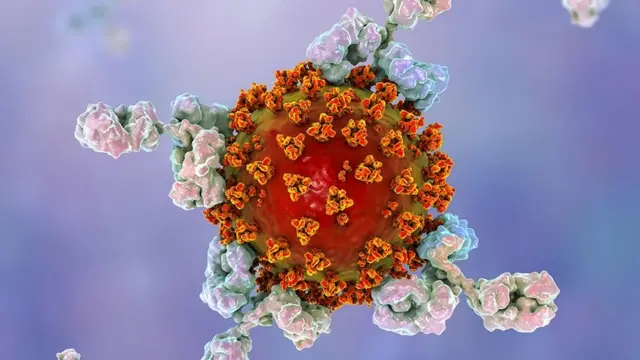 कोरोनाभाइरस