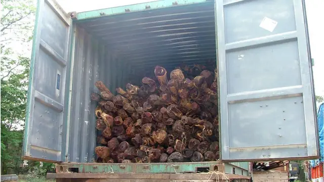 Jinsiy aloqa paytida men farit qilganimda Yalangoch Emma Uotson soxta