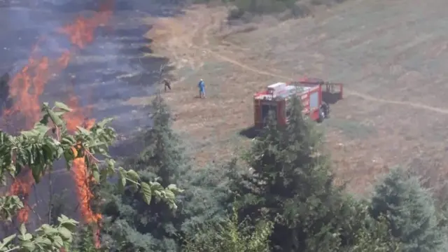 Kuşadası'ndaki yangın