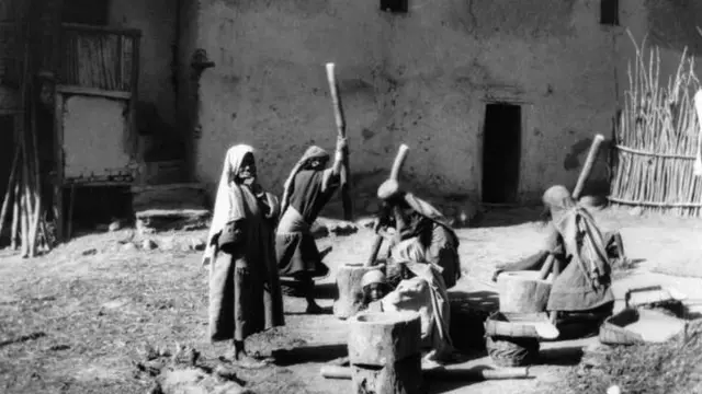 કામ કરતી મહિલાઓનો ફોટો