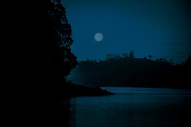 அஷோக் தமிழ், தாராபுரம்