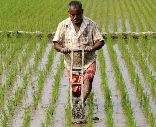 किसान, एमएसपी, MSP