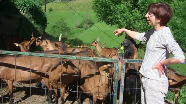 Женщина и козы