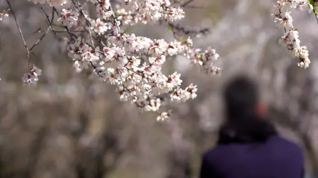 પ્રતિકાત્મક તસવીર