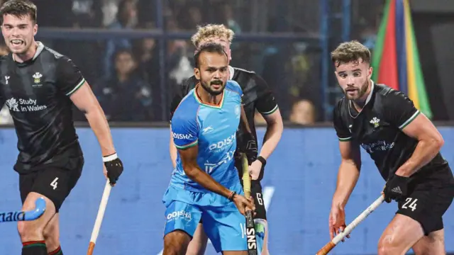 भारत वेल्स