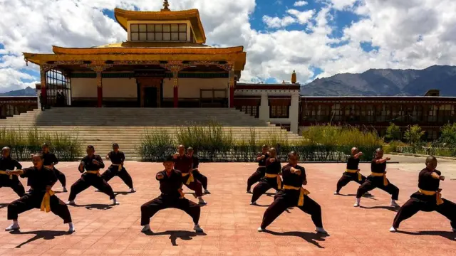 350 молодых монахинь ежедневно упражняются в кунг-фу