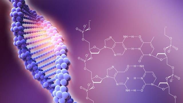 Estructura helicoidal del ADN