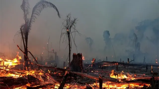 Incêndio na Amazônia