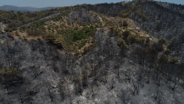 İzmir'de 2019'da Seferihisar ve Menderes'te yaşanan yangınlarda binlerce hektarlık yeşil alan yanmıştı.