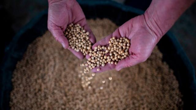 Mãobetnacional nao deixa encerrar apostaagricultor segura soja da colheitabetnacional nao deixa encerrar aposta2018,betnacional nao deixa encerrar aposta5betnacional nao deixa encerrar apostamaiobetnacional nao deixa encerrar aposta2019, embetnacional nao deixa encerrar apostafazendabetnacional nao deixa encerrar apostaScribber, Nebraska.