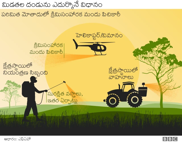 గ్రాఫిక్
